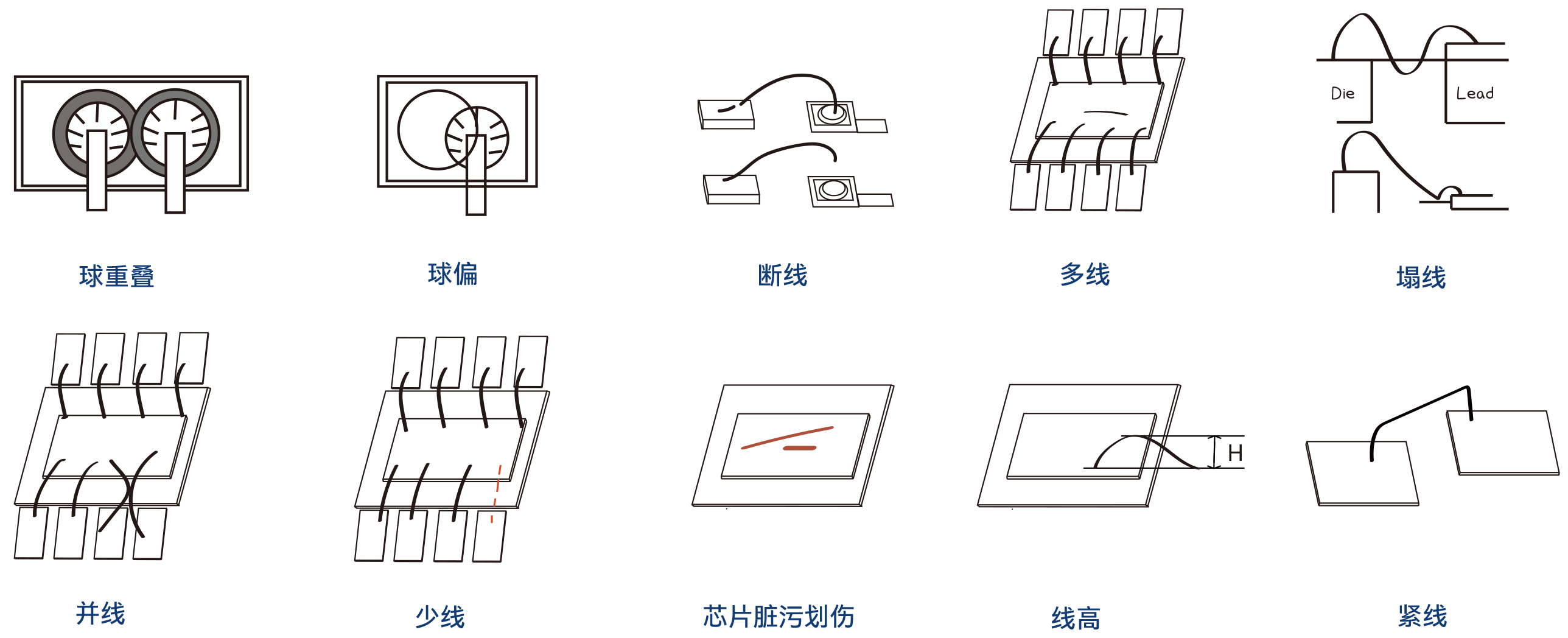 2024新澳门2024免费原料网